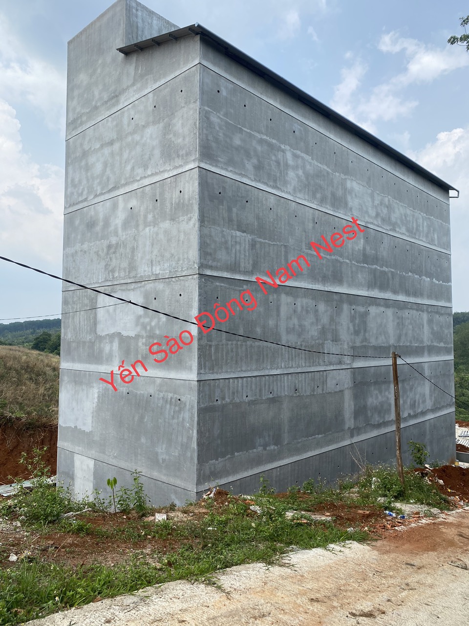 Phân tích kinh tế: Lợi nhuận từ nuôi yến trong 5 năm đầu