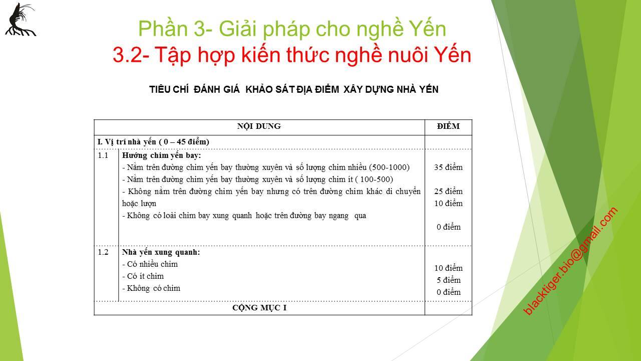 Chọn Vị Trí Nhà Nuôi Yến: Những Tiêu Chí Quan Trọng